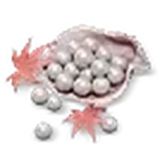 3000 Echo Beads