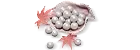 3000 Echo Beads	