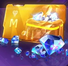 Monthly Membership