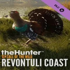 Revontuli Coast