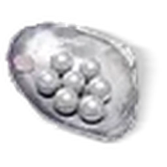 300 Echo Beads