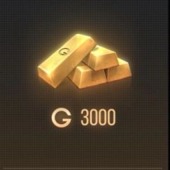 3.000 Золота (Google)