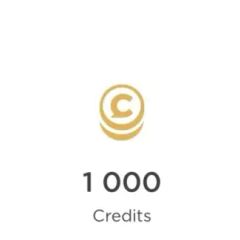 1.000 кредитов (username)