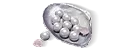 600 Echo Beads