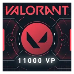 11000 VP