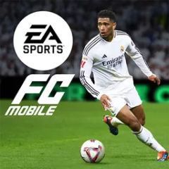 1070 FC Points
