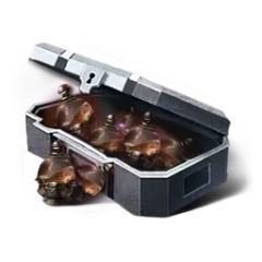 Card EXP Pack
