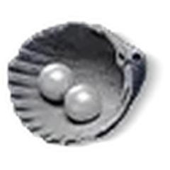 60 Echo Beads