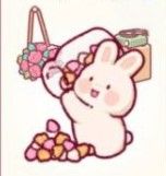 Pretty Bunny Set (E-mail)
