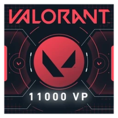 11000 VP