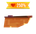 Сёрфер