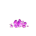 60 Purple Crystals