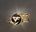 680 Crossfire Coin