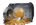40.700 State Coins