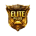 Elite Pass Plus (1-100 LVL)