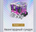 Animus Vanguard Chest