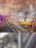 Arizona Sunshine - The Damned DLC - Steam Key - GLOBAL