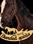 My Horse: Bonded Spirits (PC) - Steam Key - GLOBAL