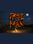 Rise of Man Steam Key GLOBAL