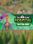 Two Point Hospital: Off The Grid - Steam - Key EUROPE