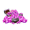 5000 Драг. камней (Login)