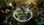 Warhammer Age of Sigmar: Storm Ground (Xbox One) - Xbox Live Key - EUROPE