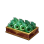 980 Spirit Jades (Facebook)