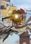 Guardians of Victoria Steam Key GLOBAL