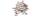 12000 Echo Beads