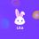 5000 Lita Coins
