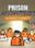 Prison Architect: Second Chances ( PC ) - Steam - Global