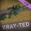 Xray-ted Skin