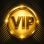 10 VIP (Google)