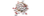 12000 Echo Beads