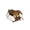 Monthly Card 980 Diamonds