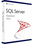 Microsoft SQL Server 2022 Standard (PC) - Microsoft Key - GLOBAL