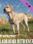 theHunter: Call of the Wild - Labrador Retriever (PC) - Steam Key - GLOBAL