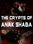 The Crypts of Anak Shaba - VR Steam Key GLOBAL