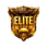Elite Pass (1-100 LVL)
