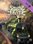 Railway Empire 2 - Journey To The East (PC) - Steam Key - GLOBAL