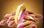 1 200 Dreamstone