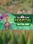 Two Point Hospital: Off The Grid - Steam - Key GLOBAL
