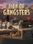 City of Gangsters (PC) - Steam Key - GLOBAL