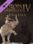 Europa Universalis IV: Dharma Steam Key GLOBAL