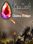 GemCraft - Chasing Shadows Steam Key GLOBAL
