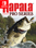 Rapala Fishing: Pro Series (Nintendo Switch) - Nintendo Key - EUROPE