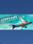 Airplane Sky Voyage Steam Key GLOBAL