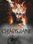 Warhammer: Chaosbane Magnus Edition Xbox Live Key UNITED STATES