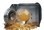 40.700 State Coins