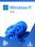Microsoft Windows 11 Pro OEM (PC) - Microsoft Key - GLOBAL